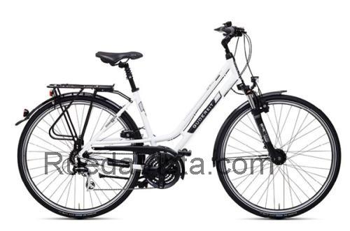 Gudereit LC-30 ficha técnica y opiniones